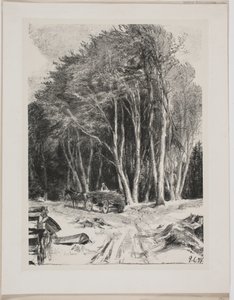 Logging by Godfred Christensen