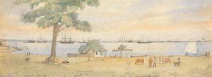 Greytown by Godfrey Thomas Vigne