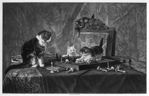 Cats Playing with a Chessboard