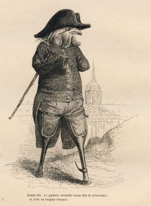 Invalid Rooster in Front of the Hotel des Invalides in Paris. Illustrated Vignettes by JJ Granville. Engraving Signed Andrew, Best and Leloir in the Section 