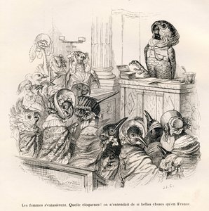 Eloquent Parrot. Illustrated Vignettes by JJ Granville. Engraving Signed Porret in the Section Entitled 