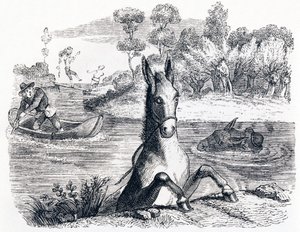 The Donkey with the Sponge and the Donkey with the Salt - Fables by La Fontaine