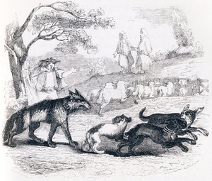 The Bassa and the Merchant - Fables by La Fontaine by Grandville