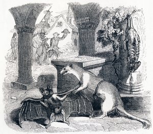 The Bat and the Two Weasels - Fables by La Fontaine