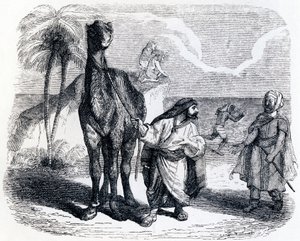 The Camel and the Floating Sticks - Fables by La Fontaine by Grandville