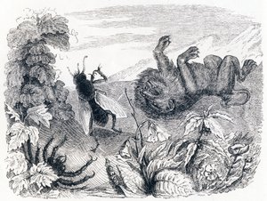 The Lion and the Midst - Fables by La Fontaine