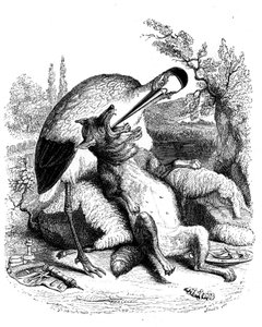 The Wolf and the Stork: La Fontaine Fable Illustrated by Grandville. Edition Garnier 1860. The Stork is Represented as a Doctor by Grandville (1803 47)