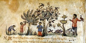 Hunting with Falcons to Capture Birds by Greek School