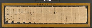 Ibis Spell from Papyrus 121