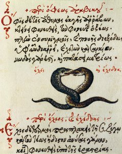 Snake coupling, test and miniature from De animalium natura et proprietate libellus by Greek School