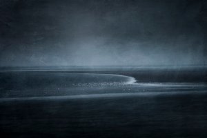 Twilight Shore Birds by Greetje van Son