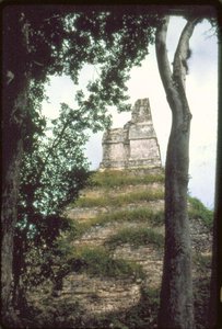 Temple of the Inscriptions by Guatemalan School