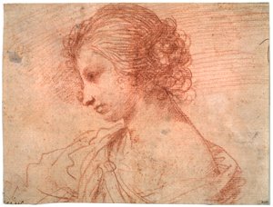 Breast Portrait of a Young Female
