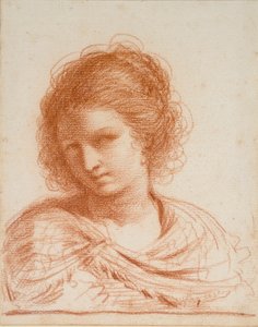 Head of a Young Woman