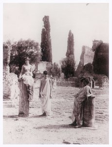 Galdi Worked for Plueschow