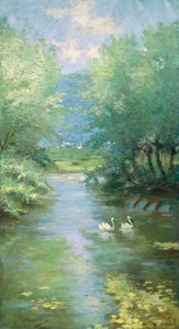 Landscape with swans