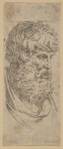 Bust of a bearded man, ca. 1600-1640 by Guido Reni