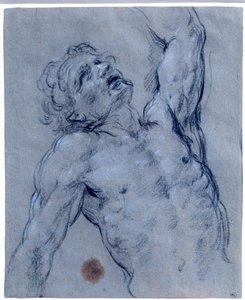 Half-figure of Naked Man, Flips Back, Pretending to Suffer by Guido Reni