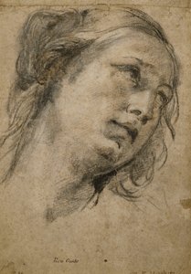 Head of a Woman Looking Up to the Right