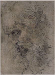 Head of Saint Paul the Hermit by Guido Reni