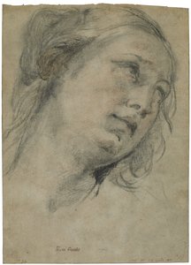The Head of a Young Woman Looking Upward
