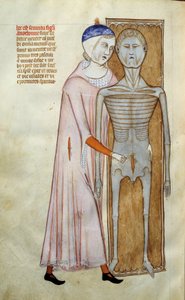 Anatomy and Surgical Board Representing a Dissection Scene by Guido da Vigevano da Pavia