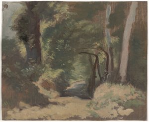 Forest Path