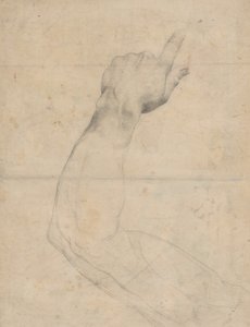 Study of an Arm by Guillaume Lethiere