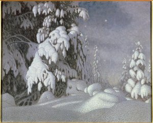 Winter Moonlight