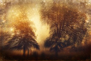 Golden Misty Trees by Gustav Davidsson