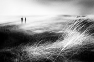 Misty Coastal Journey by Gustav Davidsson