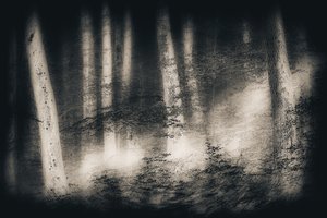Misty Forest Dream by Gustav Davidsson