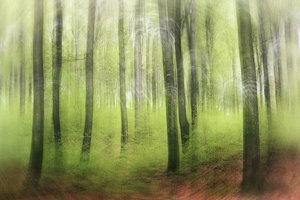Spring Impression