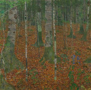 Birch Forest, 1903 by Gustav Klimt