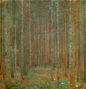 Fir Forest I
