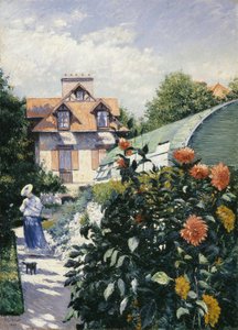 Dahlias, Garden at Petit Gennevilliers