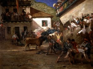 Bulls in Lezo