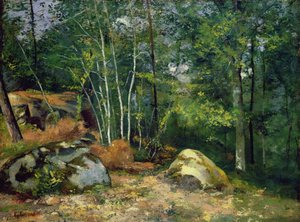 Forest Corner