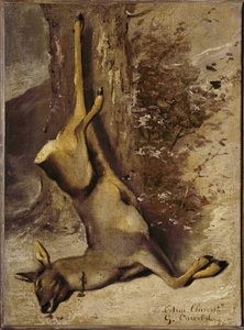 The Deer