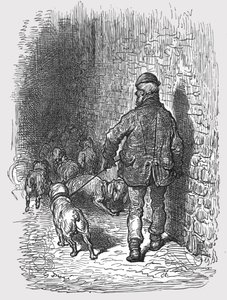 Bull Dogs, 1872