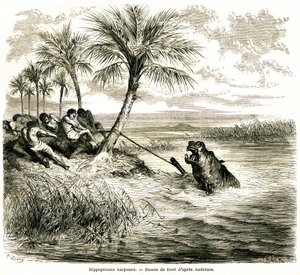 Hunting on the river Teoghe, tributary of the Ngami. Hippo harpoon. Engraving by Gustave Dore illustrating 