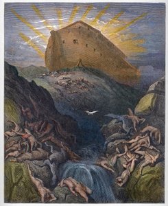 Noah