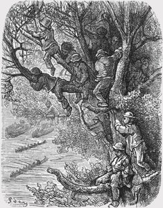 Perched in the Trees
