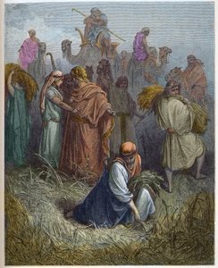 Ruth and Boaz - Ruth working in the fields of Boaz (engraving in The Bible illustrated by Gustave Dore) by Gustave Dore