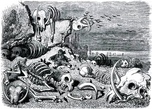 Sindbad the sailor (Sinbad) - tale of the thousand and one (1001) nights - illustration by Gustave Dore - edition Maxwell 1865 - Seventh and last voyage: the cemetery of the elephants where Sindbad will recover the ivory defenses by Gustave Dore
