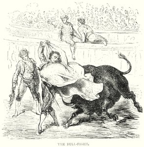 The Bull-Fight