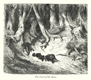 The Last Of The Boar