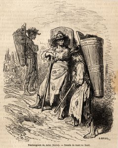 The pickers of Xeres. Drawing by Gustave Dore, to illustrate his trip to Spain in 1862, with Ch. Davillier. Engraving in Le tour du monde, edited by Edouard Charton