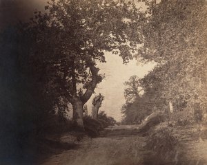 Fontainebleau, sandy path ascending, ca. 1856