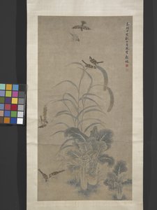 Cabbage, Millet and Sparrows
